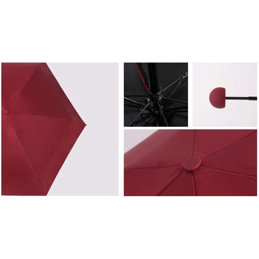 Sakar Mini Compact Fency Umbrella with Sturdy Plastic Capsule Case for Women and kids