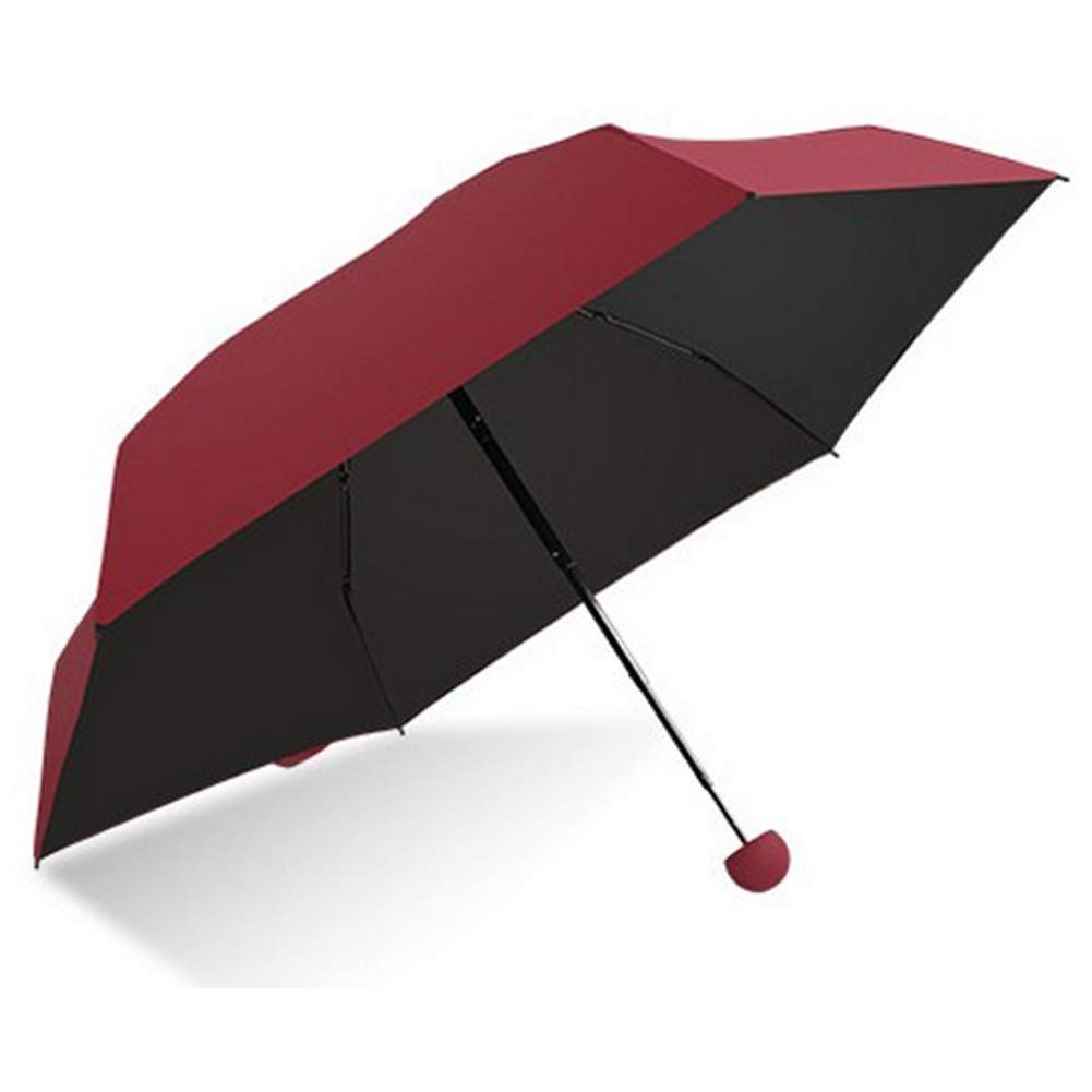 Sakar Mini Compact Fency Umbrella with Sturdy Plastic Capsule Case for Women and kids